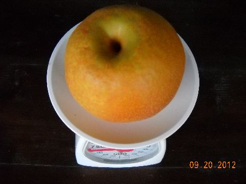 ファイル 220-4.jpg