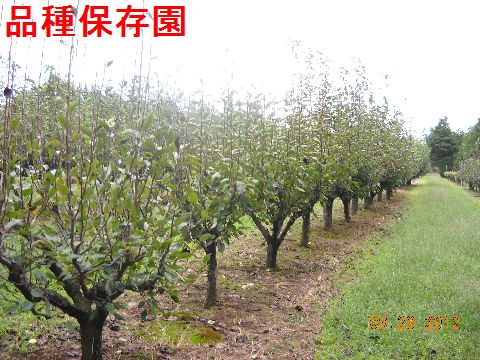 ファイル 222-5.jpg