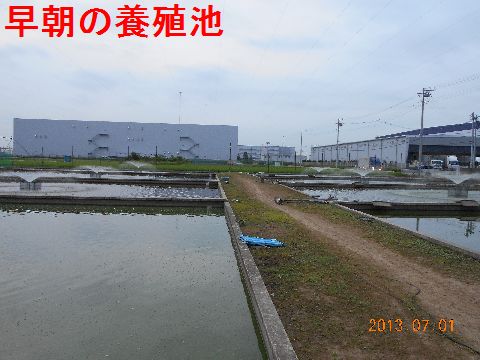 ファイル 300-2.jpg