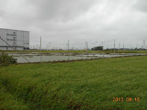 ファイル 315-4.jpg