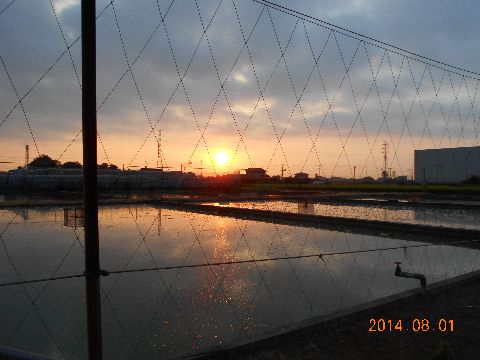 ファイル 383-1.jpg