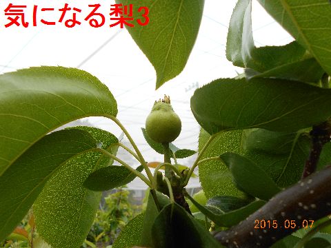 ファイル 432-5.jpg