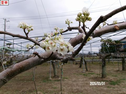 ファイル 675-3.jpg