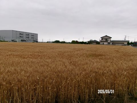 ファイル 677-2.jpg