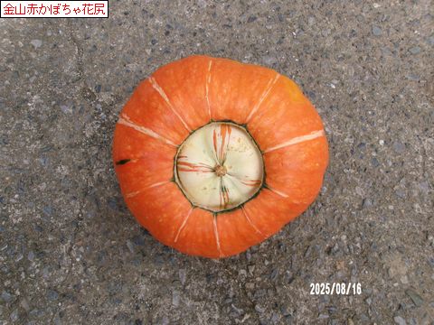 ファイル 678-2.jpg