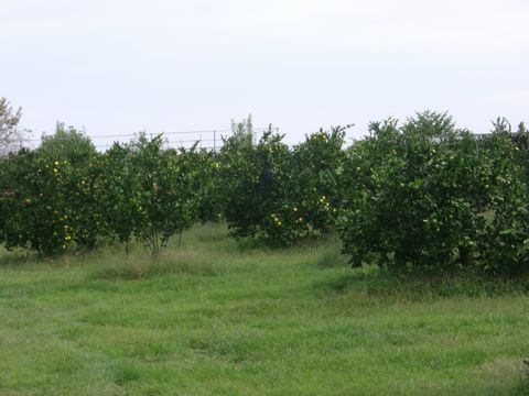 ファイル 681-4.jpg