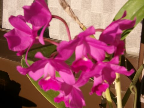 ファイル 682-1.jpg