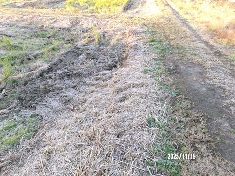 ファイル 682-2.jpg