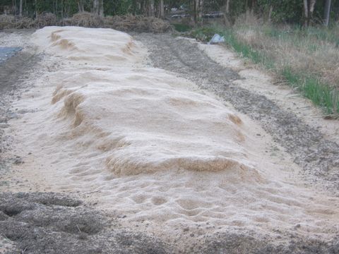 ファイル 682-3.jpg