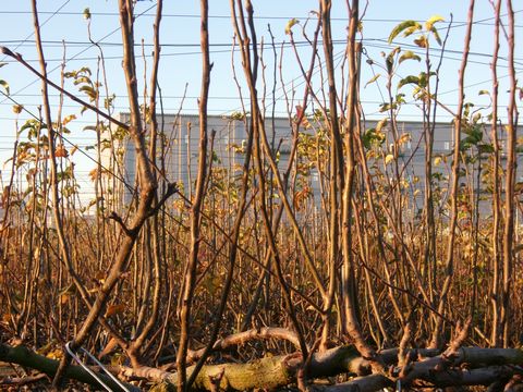 ファイル 682-4.jpg