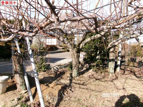 ファイル 683-1.jpg