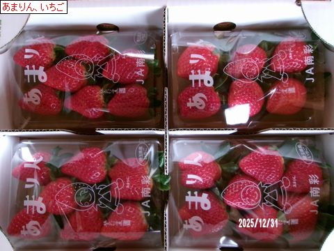 ファイル 683-2.jpg