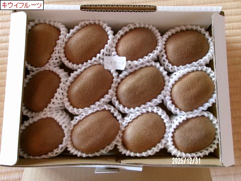 ファイル 683-3.jpg