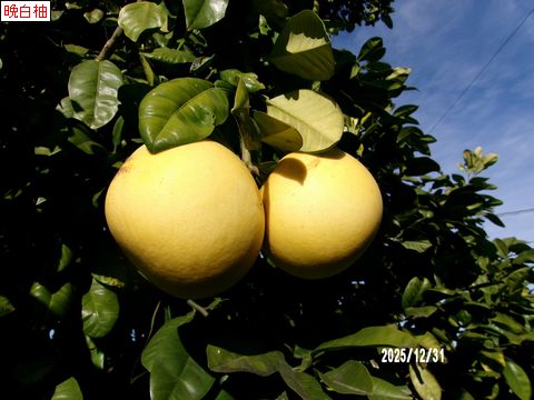 ファイル 683-5.jpg