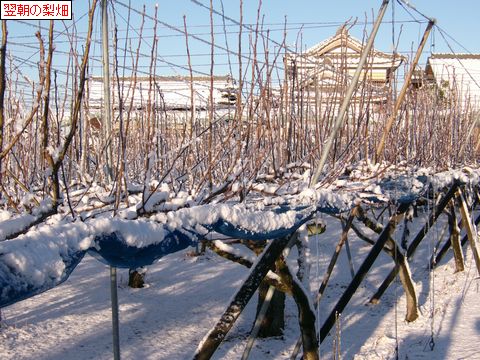 ファイル 685-5.jpg