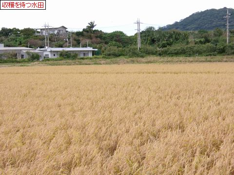 ファイル 686-3.jpg