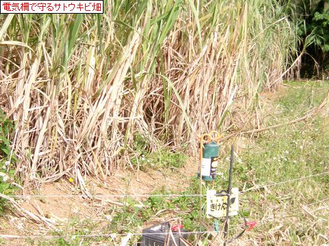 ファイル 686-4.jpg