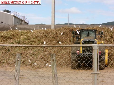 ファイル 686-5.jpg