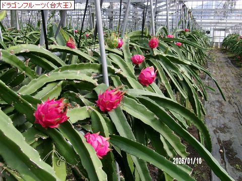 ファイル 687-2.jpg