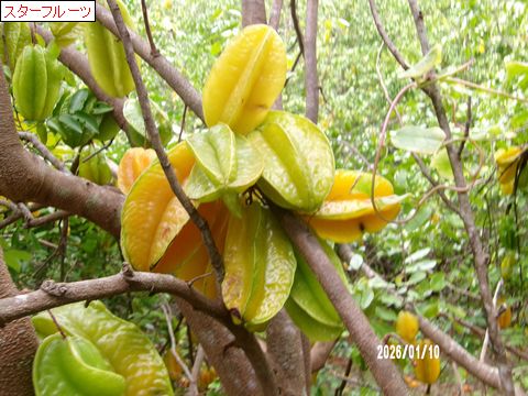 ファイル 687-3.jpg