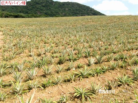 ファイル 687-5.jpg