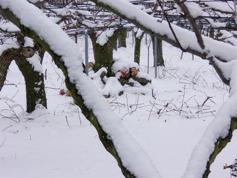 ファイル 689-3.jpg