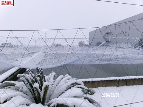 ファイル 689-5.jpg