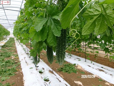 ファイル 690-1.jpg