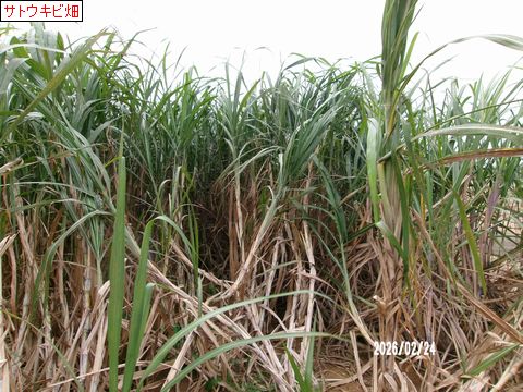 ファイル 690-4.jpg