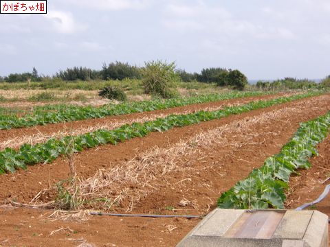 ファイル 690-5.jpg