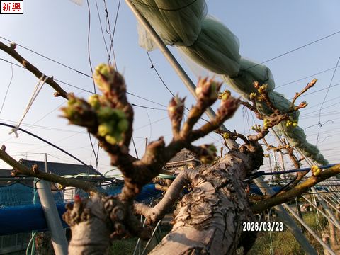 ファイル 691-2.jpg