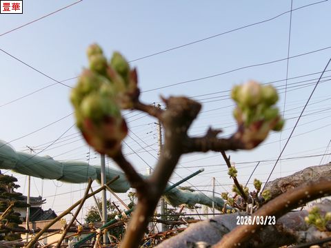 ファイル 691-4.jpg