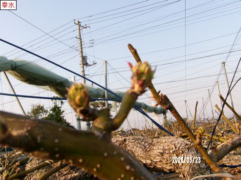 ファイル 691-5.jpg