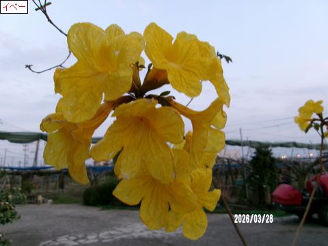 ファイル 692-1.jpg