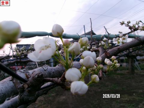 ファイル 692-2.jpg