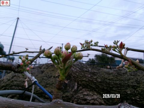 ファイル 692-4.jpg