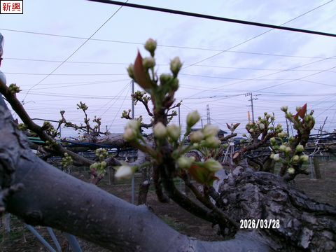 ファイル 692-5.jpg