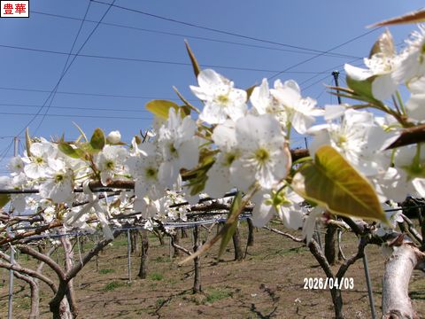 ファイル 693-1.jpg