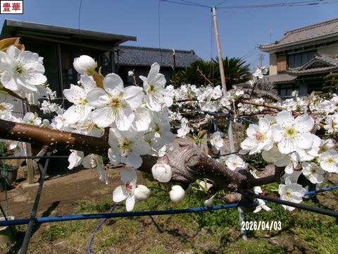 ファイル 693-2.jpg