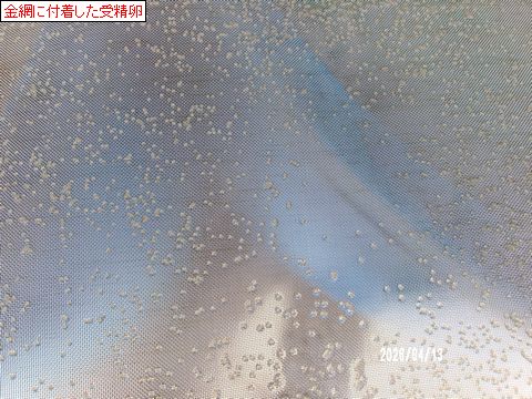 ファイル 694-3.jpg