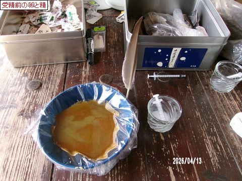 ファイル 694-4.jpg