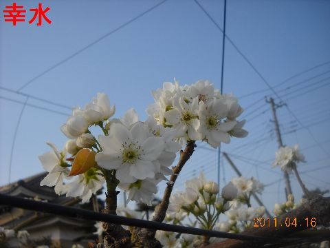 ファイル 86-4.jpg